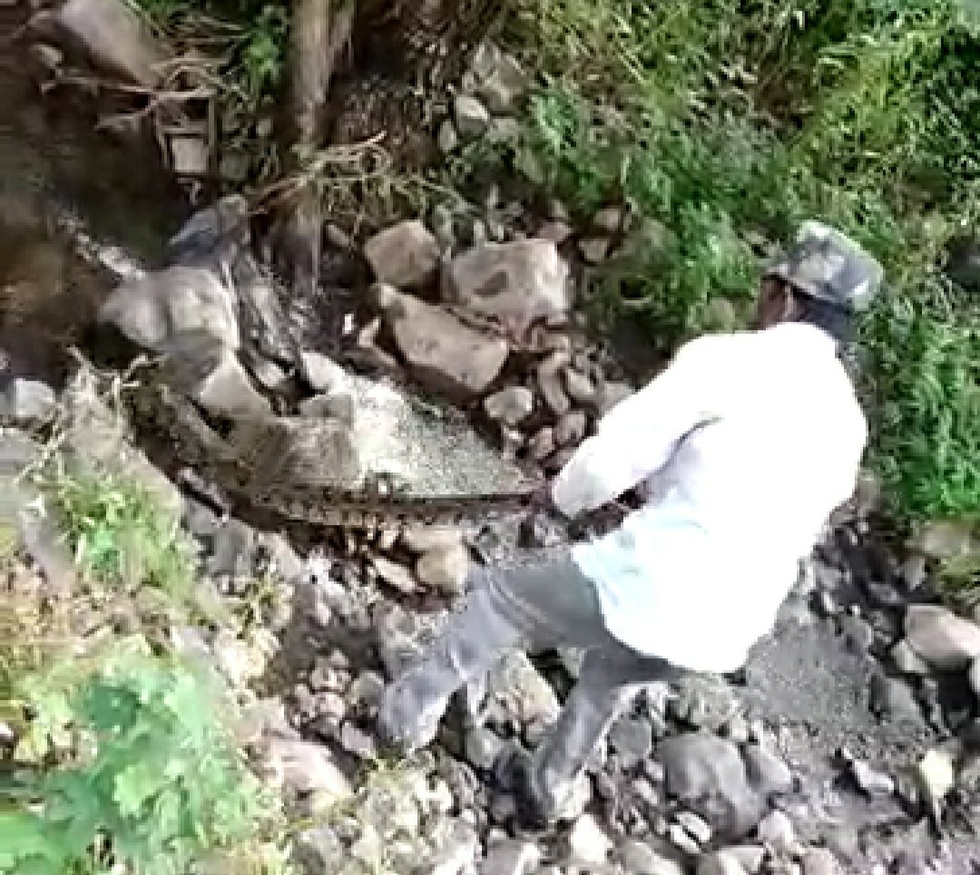 जहरीले जंगली जानवरों को पकड़ने में माहिर हैं सहा. वनपाल मोहम्मद अंसार | New India Times