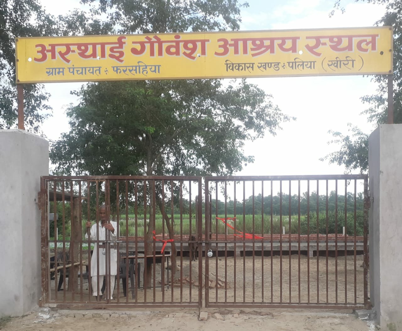 फरसहिया के गौशाला में बीमार पड़ी गाय की आंख नोच ले गये कौवे, गौशाला के करीब घासों में मिलीं मृत गायें व गौवंश के कंकाल | New India Times