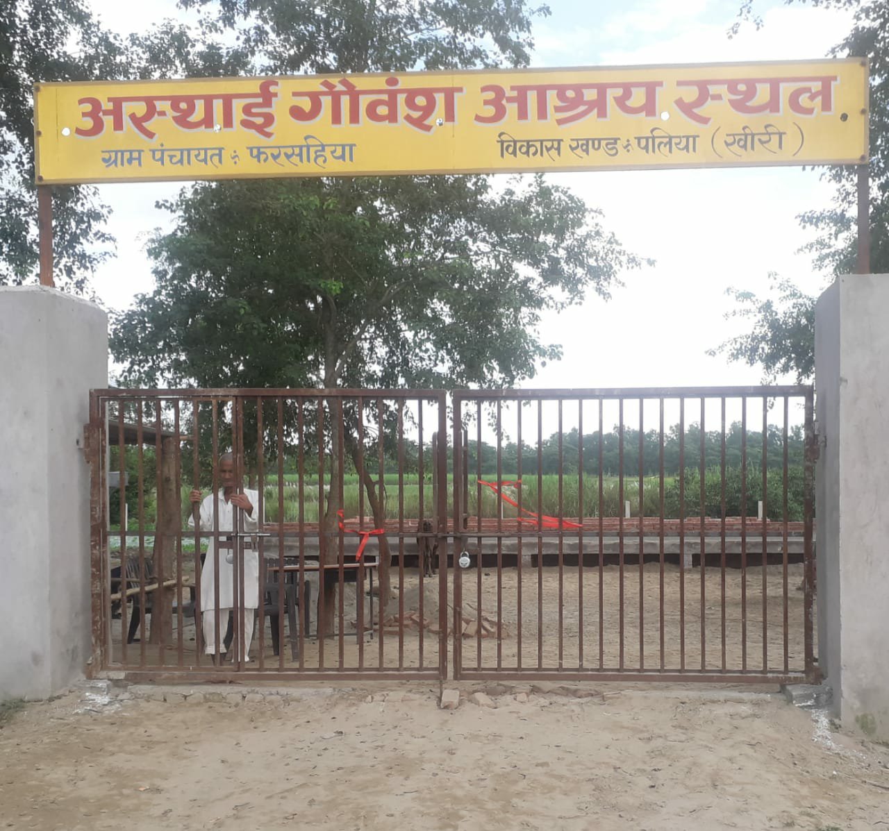 फरसहिया के गौशाला में बीमार पड़ी गाय की आंख नोच ले गये कौवे, गौशाला के करीब घासों में मिलीं मृत गायें व गौवंश के कंकाल | New India Times