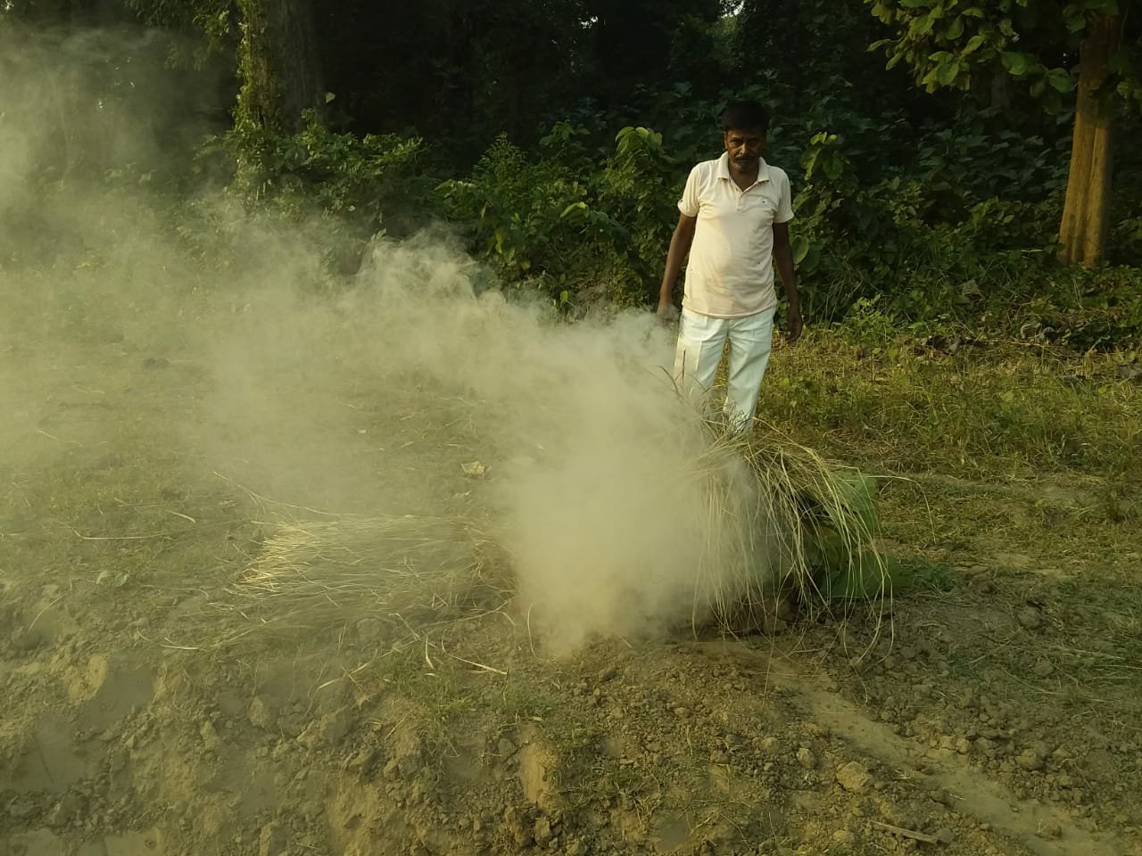 जंगल से भटक कर आये हाथियों ने मचाया उत्पात, फसलों को किया नष्ट | New India Times