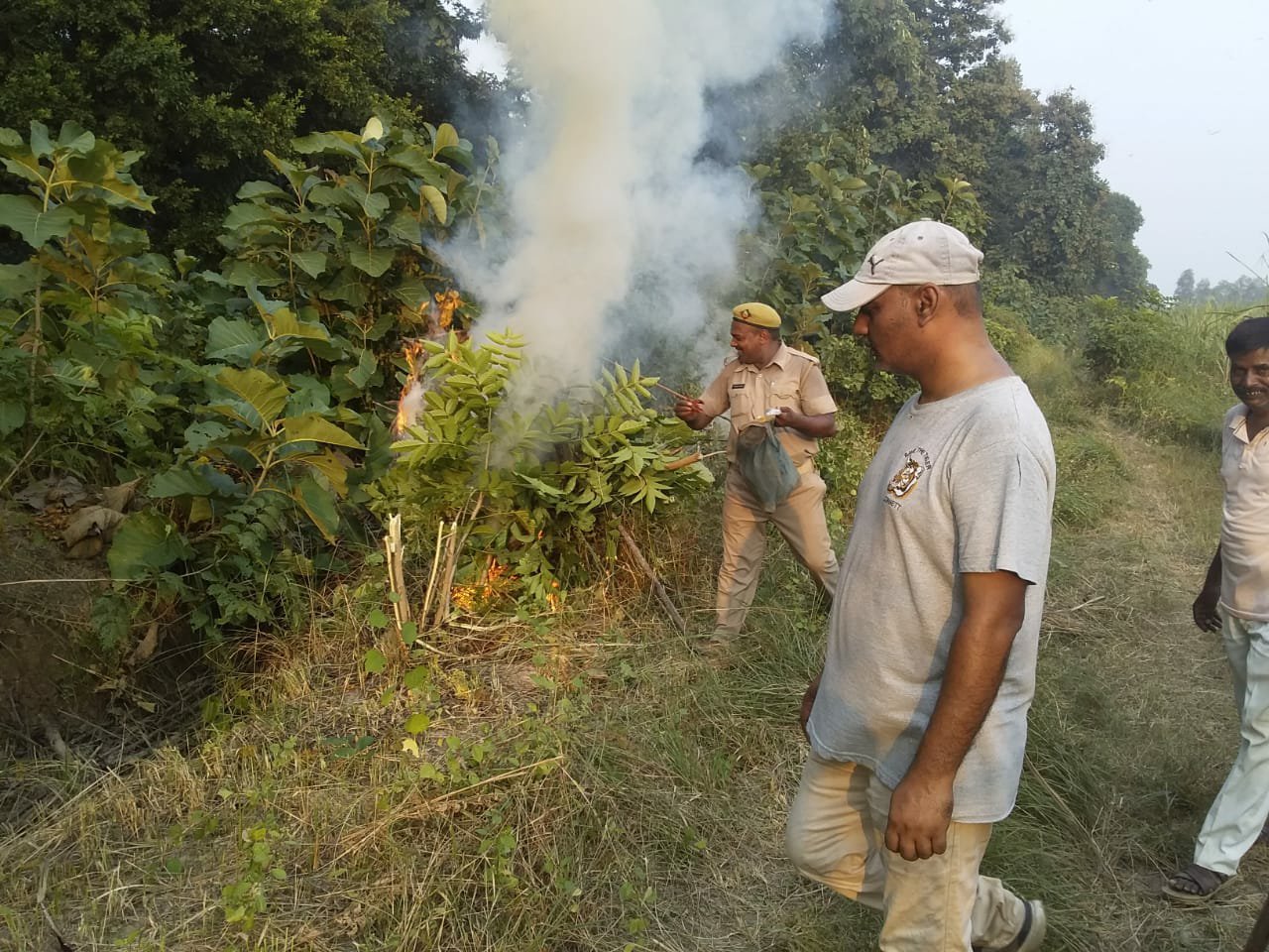 जंगल से भटक कर आये हाथियों ने मचाया उत्पात, फसलों को किया नष्ट | New India Times