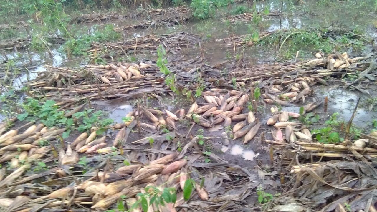 किलों के सांकेतिक निर्माण से मिल रहा है लोकतंत्र के सशक्तीकरण को बल, सरकार द्वारा छत्रपती शिवाजी महाराज के किलों को लीज पर देने के फ़ैसले की हो रही है आलोचना | New India Times