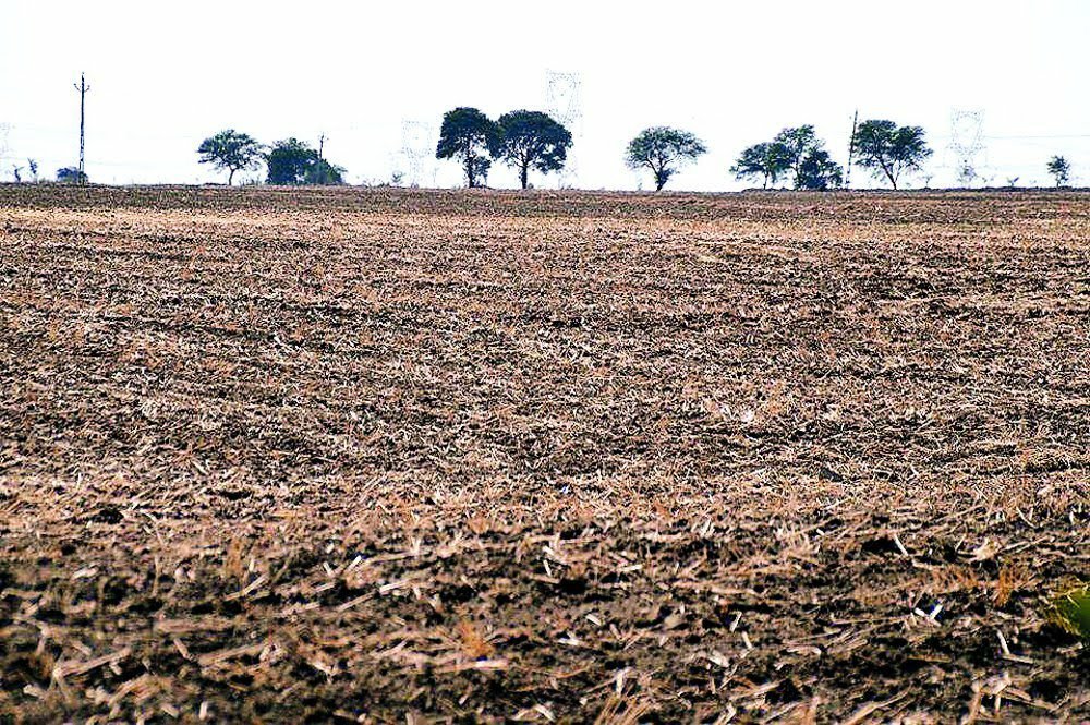 आदिवासी की जमीन गैर आदिवासी को बेचने पर लगा पूर्ण प्रतिबंध, कलेक्टर भी इसकी अनुमति नहीं दे सकते: मुख्यमंत्री कमल नाथ | New India Times