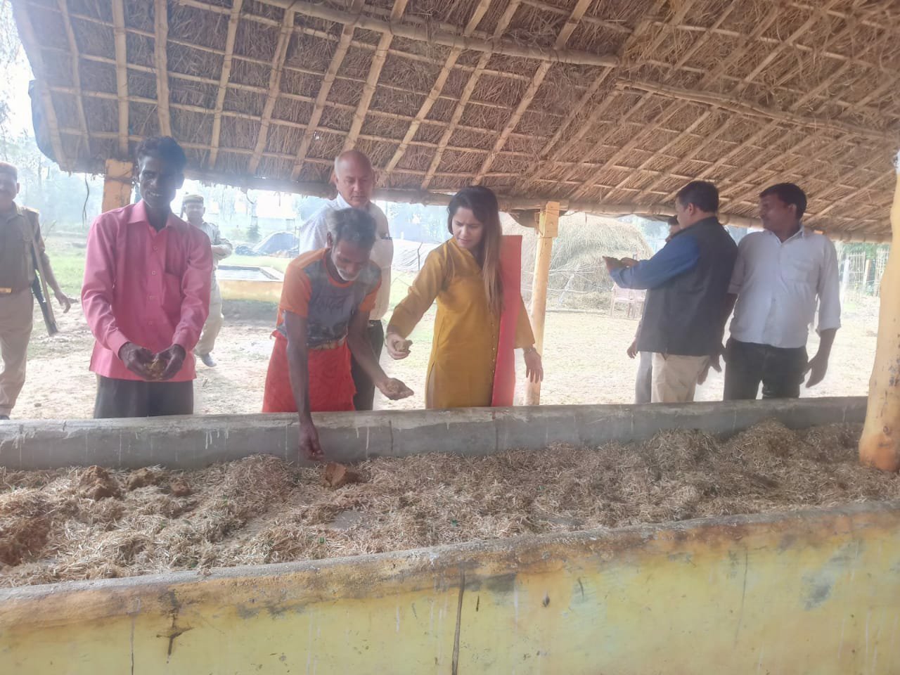 मोहम्मदी एसडीएम ने गौशालाओं का किया निरीक्षण, खिलाया गुड़ | New India Times