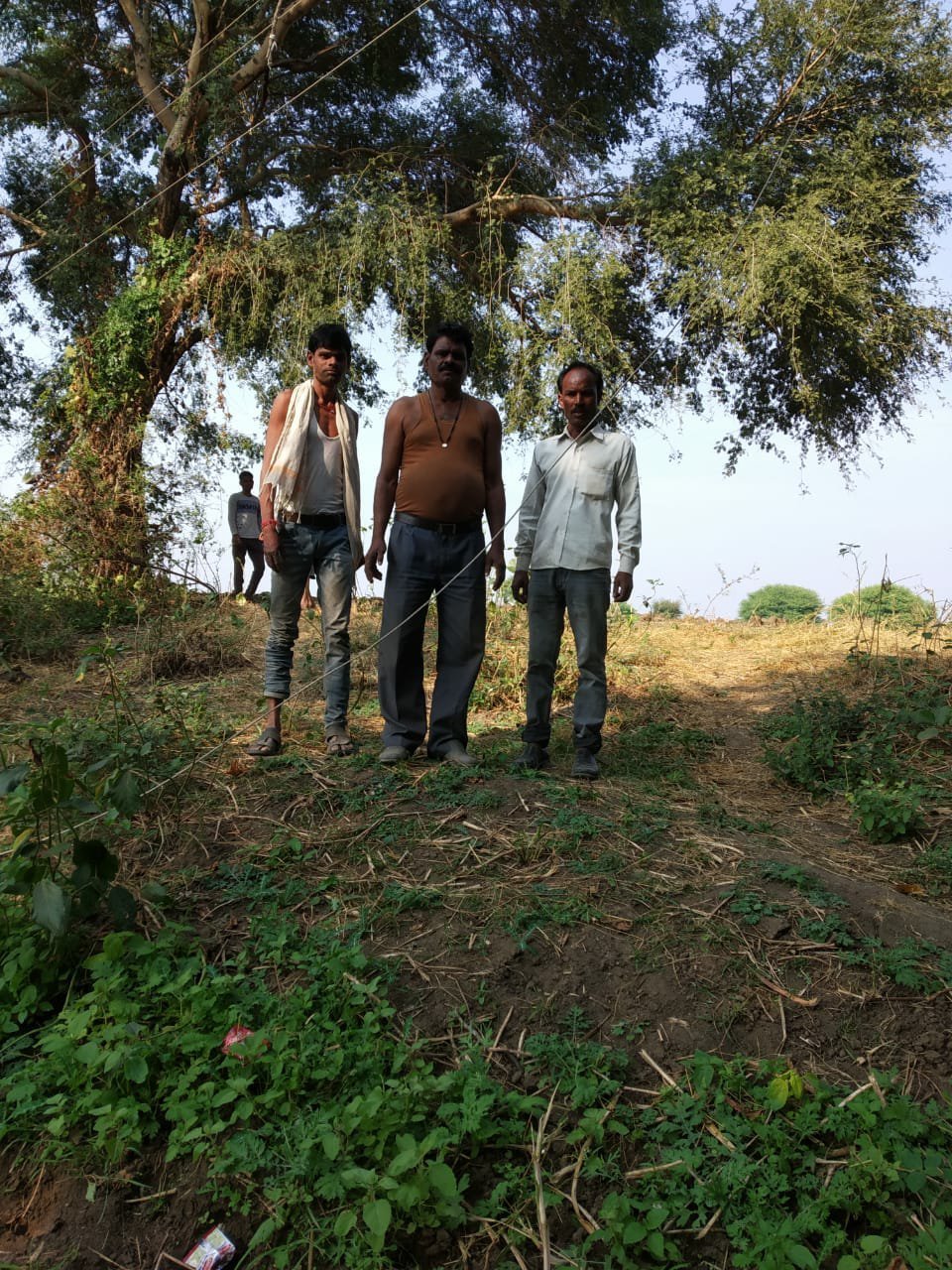 अधर में लटक रहे हैं बिजली के तार, क्या दुर्घटना के बाद जागेगा विघुत विभाग??? | New India Times