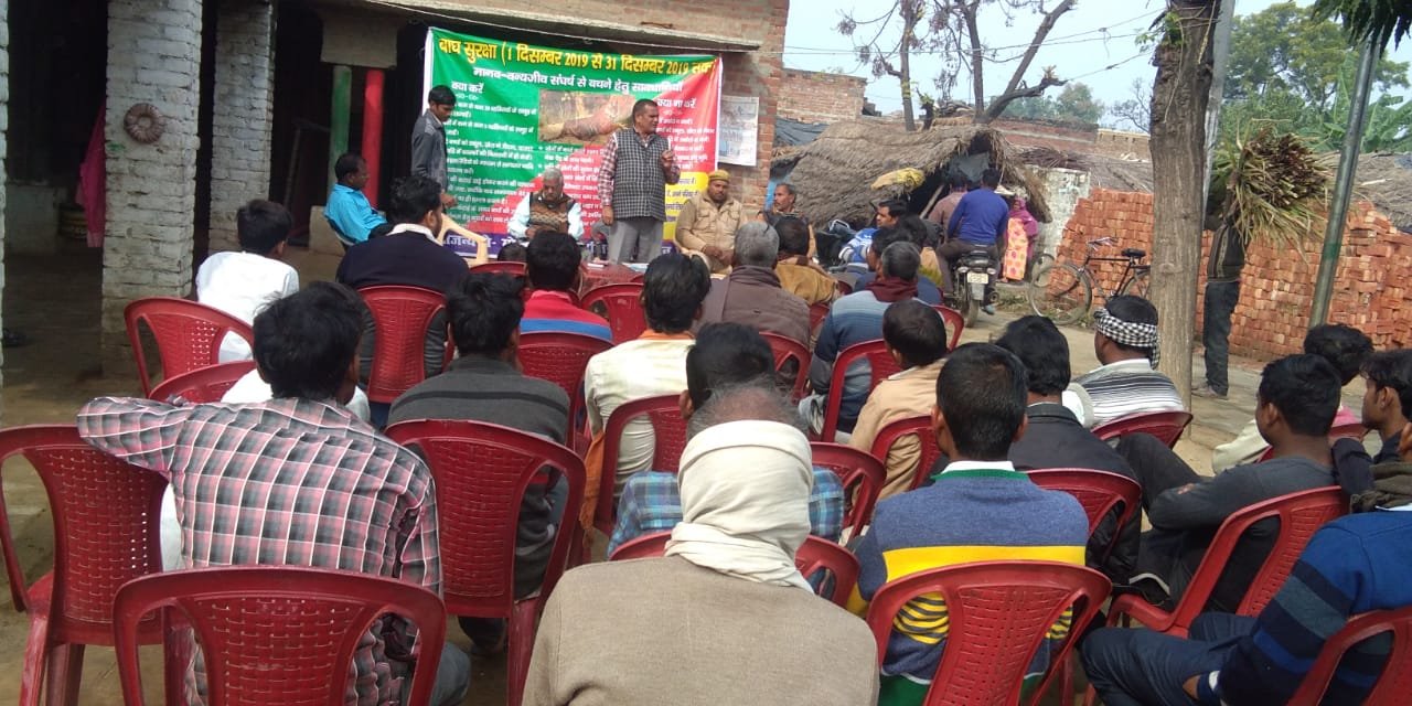 वन विभाग द्वारा बाघ सुरक्षा माह का हो रहा है आयोजन | New India Times