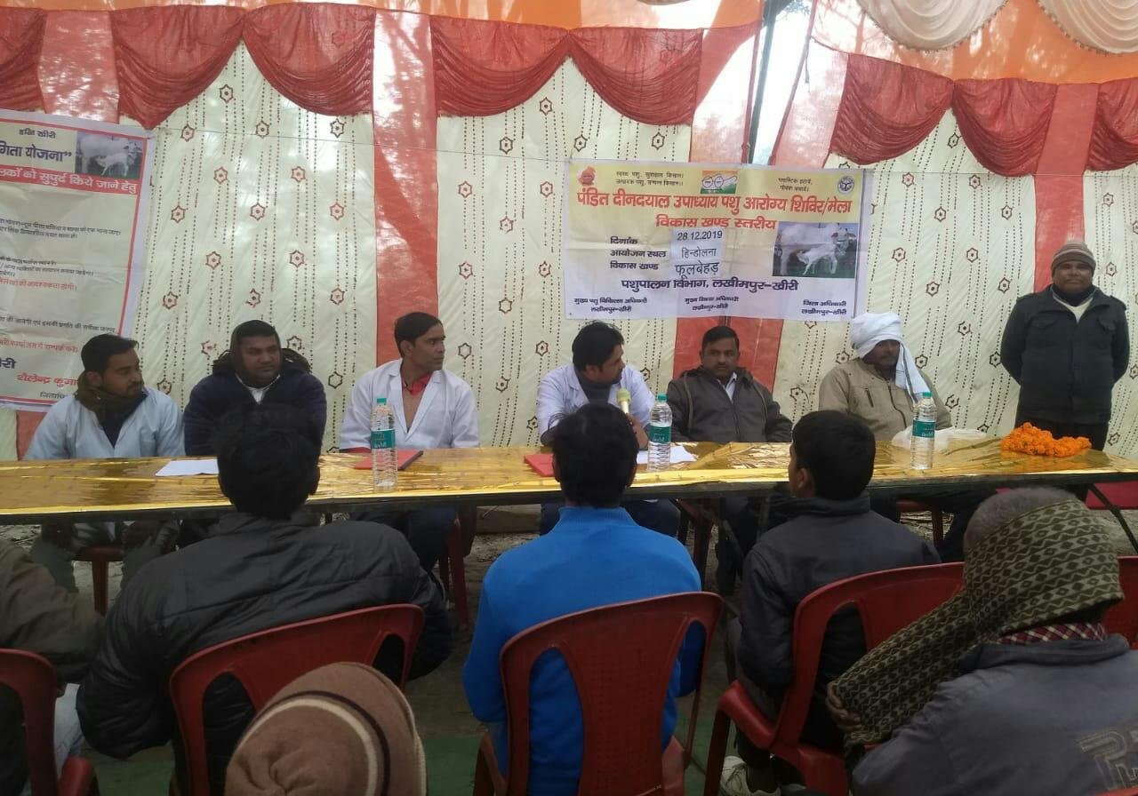 पंडित दीनदयाल पशु आरोग्य मेले का हुआ आयोजन | New India Times