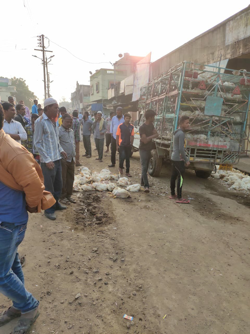 जामनेर में ठेकेदार की लापरवाही से गई 400 मुर्गियों की जान, 70 करोड़ की लागत से लापरवाही से बनाई जा रही नालियां दे रही हैं दुर्घटनाओं को दावत | New India Times