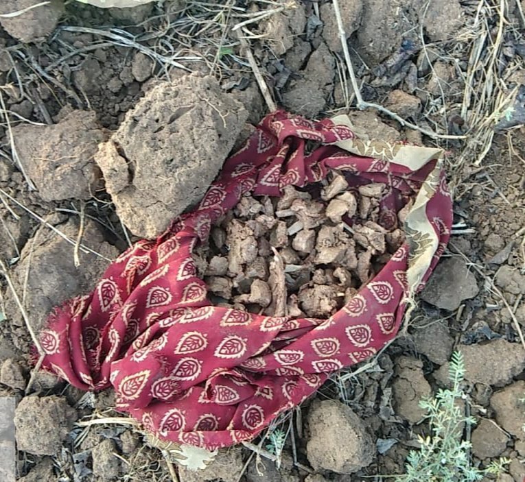 चीतल हिरण के मांस के साथ दो पुरूष एवं एक महिला गिरफ्तार | New India Times