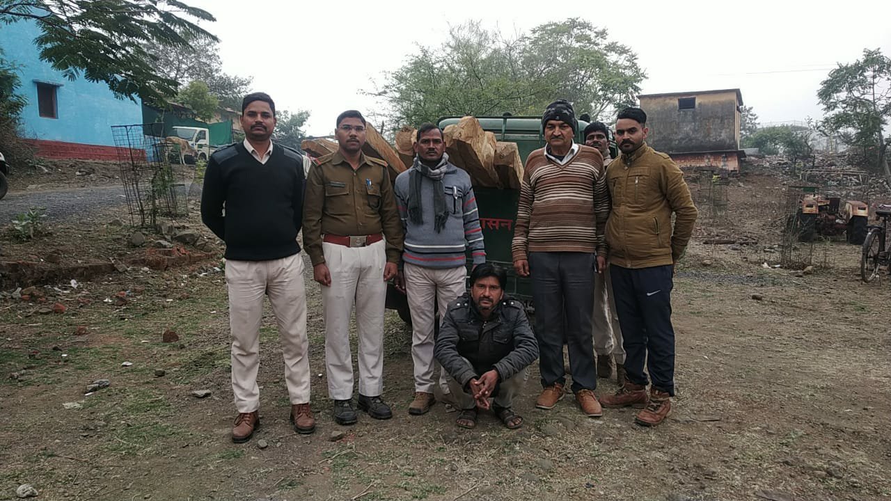 लाइसेंसी दुकान से अवैध सागौन जप्त | New India Times