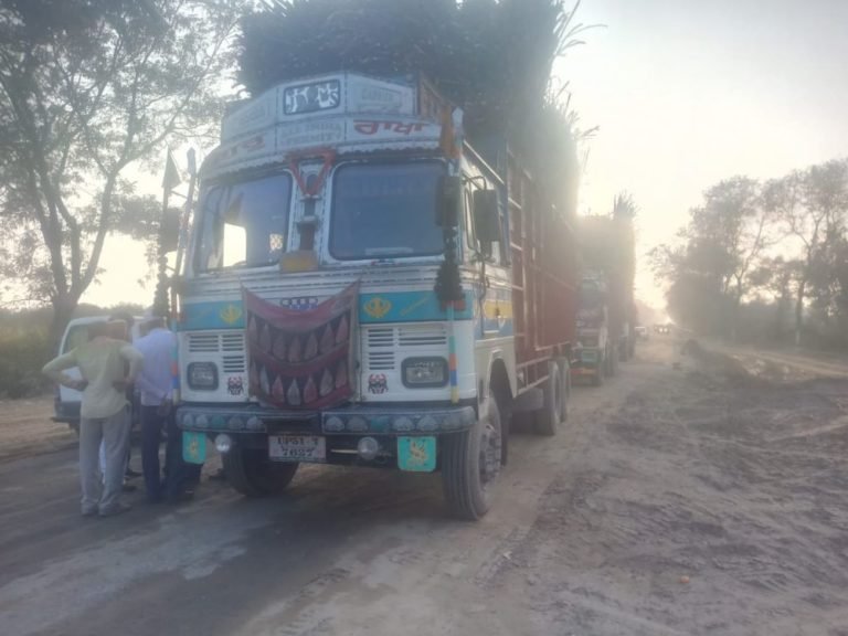 ओवरलोड वाहनों के खिलाफ एसडीएम स्वाति शुक्ला ने चलाया अभियान | New India Times