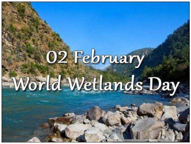 विश्व नम भूमि दिवस (वेटलैंड डे)- 2020 पर पर्यावरण संरक्षण: पक्षी सारस की घटती संख्या व उसकी वास्तविक दशा एक चिंतनीय व गम्भीर विषय | New India Times