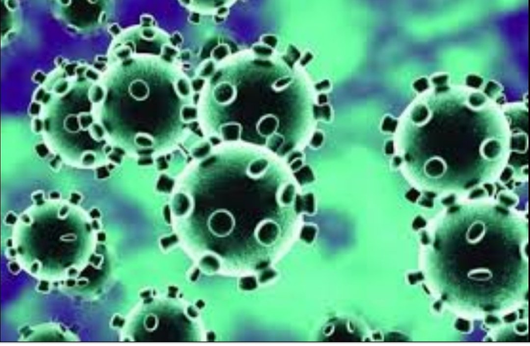 पालघर जिला में सभी होटल, रिसाॅर्ट, लाॅजिंग 31 मार्च 2020 तक के लिए बंद करने का जिलाधिकारी ने दिया आदेश | New India Times