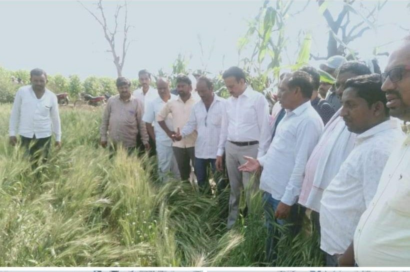 सोशल मीडिया पर ट्रोल होने वाले पूर्व मंत्री गिरीश महाजन ने किया कृषि नुकसान का मुआयना | New India Times