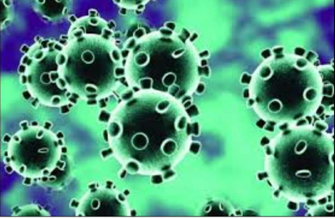 कोरोना वायरस के संक्रमण से बचाव के लिये 31 मार्च 2020 तक बंद रहेंगे सिनेमा हॉल, कलेक्टर ने जारी किया आदेश | New India Times