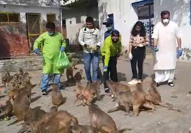 बच्चों ने अपनी पॉकेट मनी से जानवरों को करवाया भोजन | New India Times