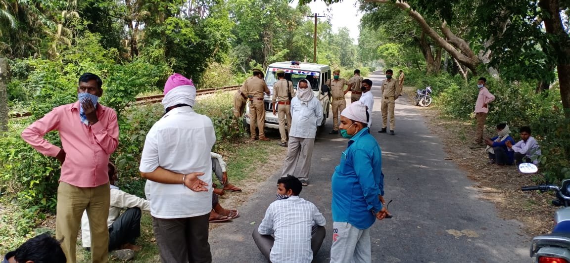 भैंस चराने गये बुजुर्ग को बाघ ने बनाया निवाला, इलाके में फैली दहशत | New India Times