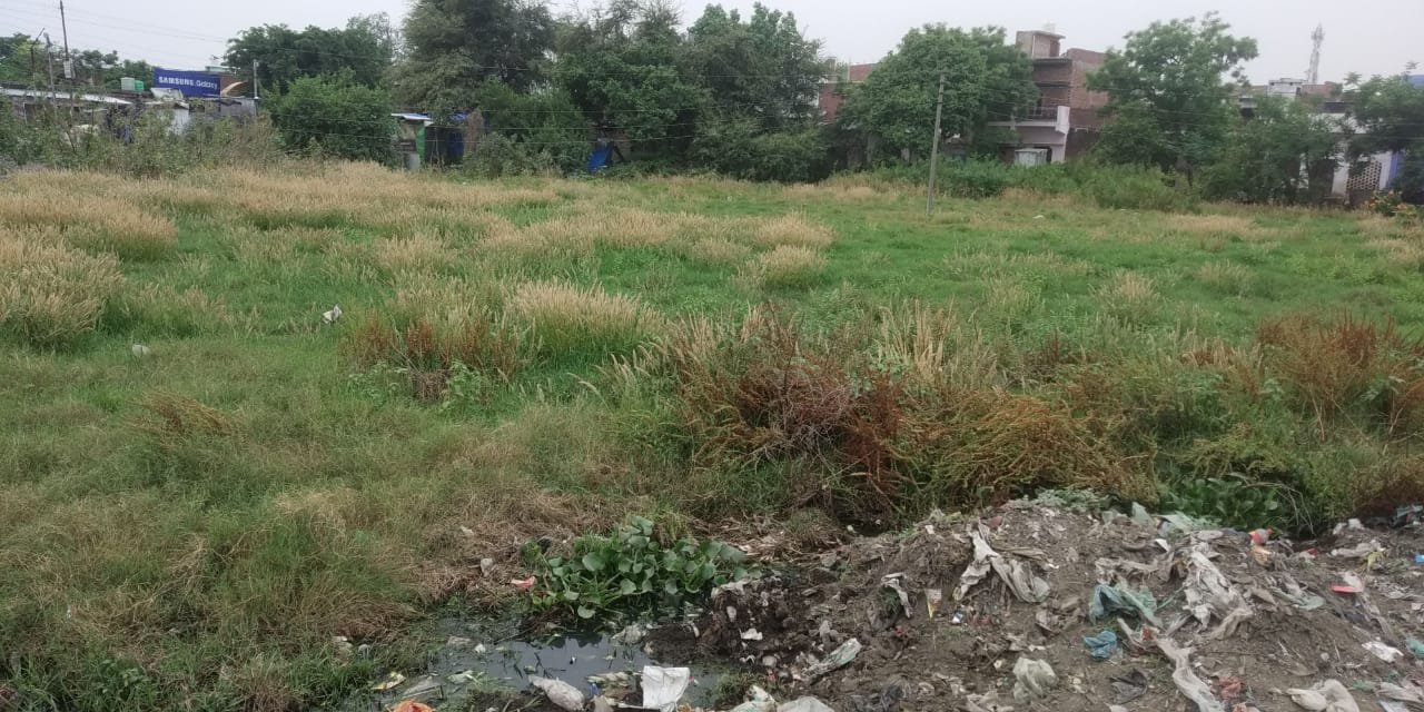 अवैध कब्जे और देख-रेख के अभाव से दल-दल बना तालाब, जिम्मेदार बने मूकदर्शक, अवैध कब्जे की वजह से आधा रह गया है तालाब | New India Times