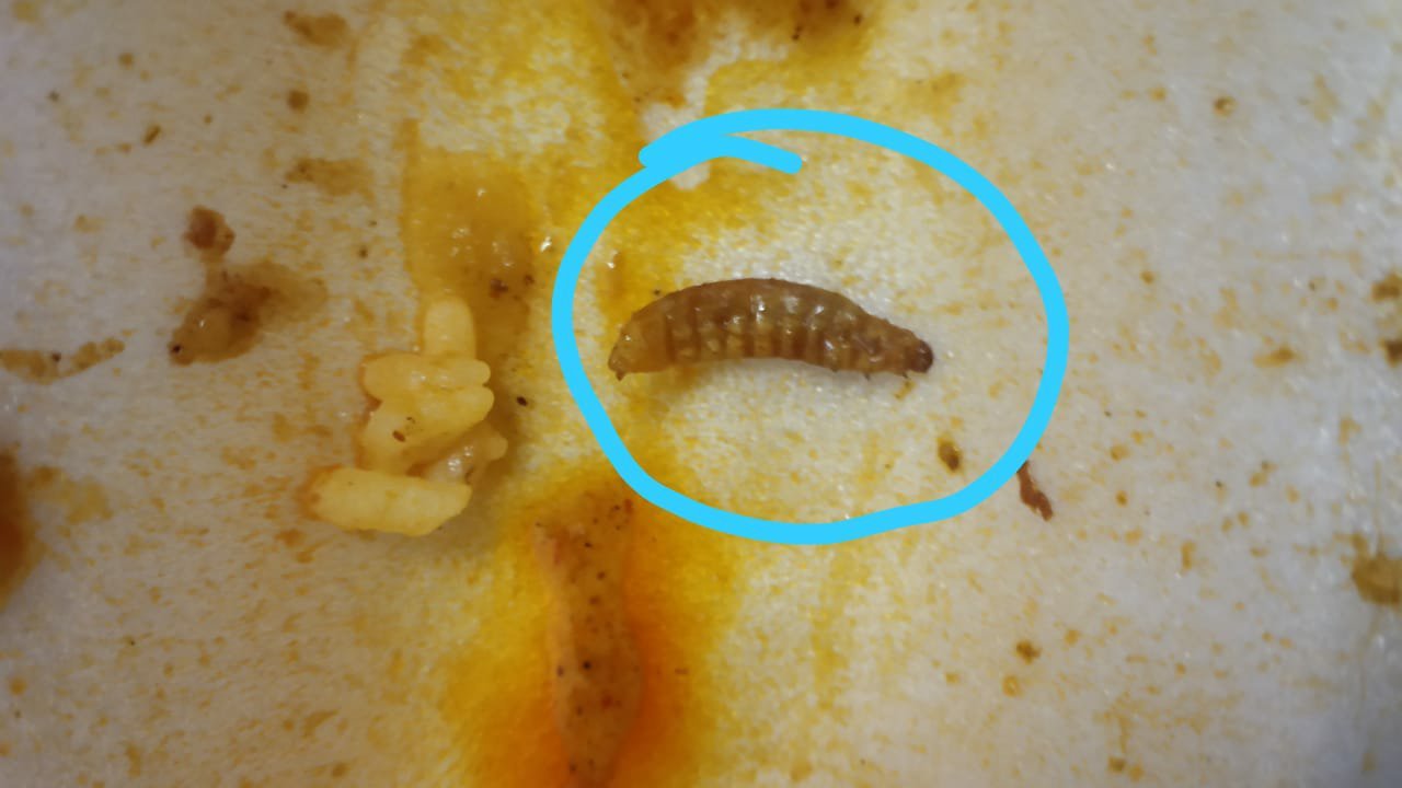 भोपाल एम्स में नर्सिंग स्टाफ को ड्यूटी और क्वॉरेंटाइन के दौरान कई तरह के समस्याओं का करना पड़ रहा है सामना, यदि कोई शिकायत करता है तो उसको हटाने की दी जाती है धमकी | New India Times