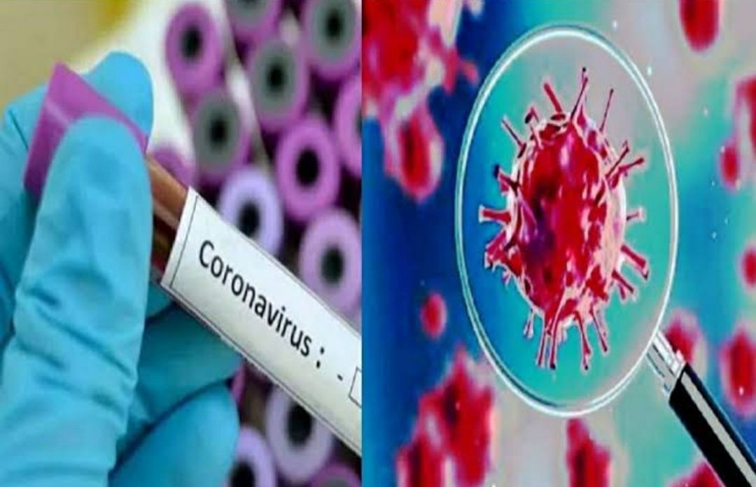 झांसी शहर में कोरोना ने दी दस्तक, कई इलाके सील | New India Times