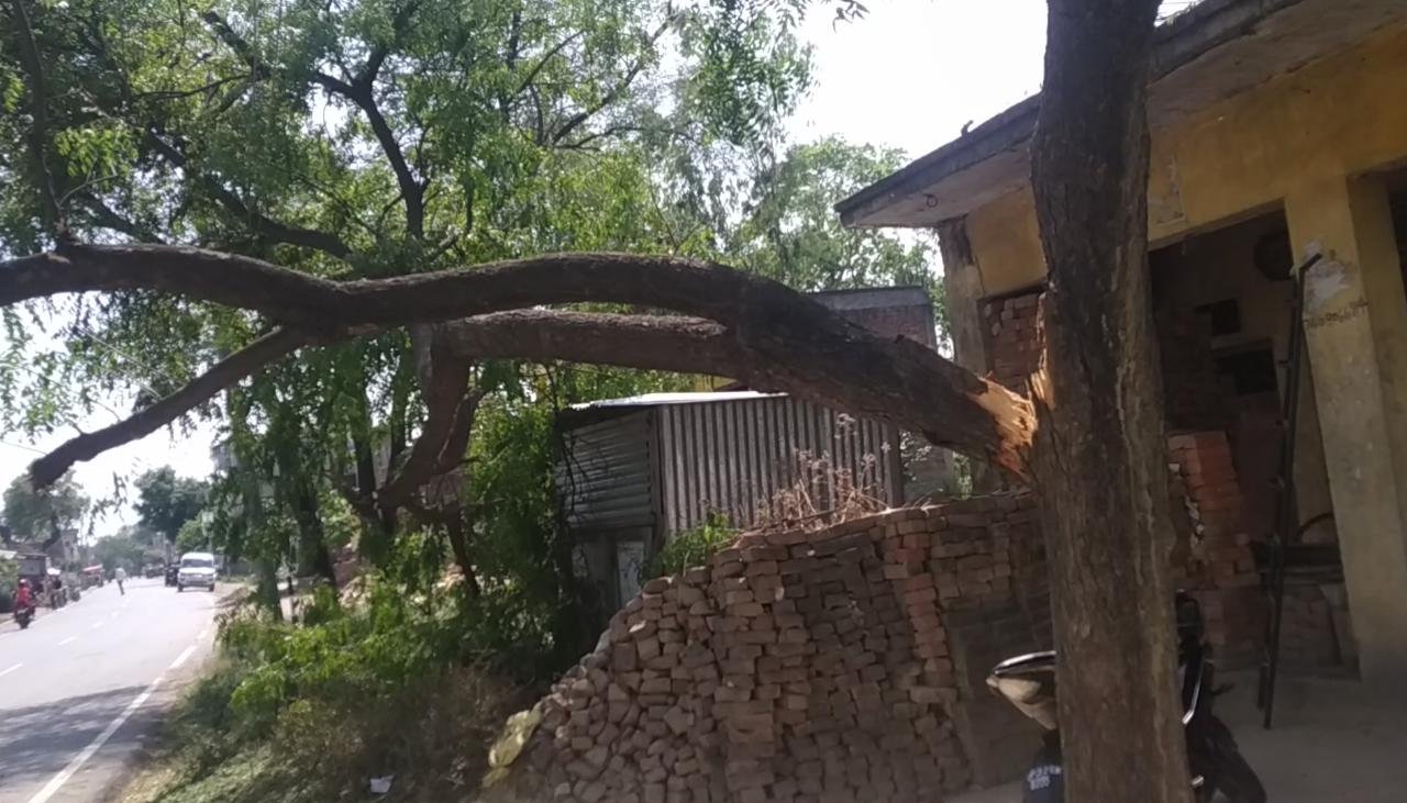 अचानक आई आंधी-तूफान ने मचाई तबाही, बाल-बाल बचे लोग | New India Times