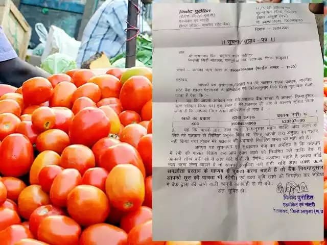 लाॅकडाउन के चलते टमाटर की फसल पर बड़ा असर, किसानों को हुआ भारी नुकसान बैंक के नोटिस को लेकर किसानों की बढ़ी चिंताएं | New India Times