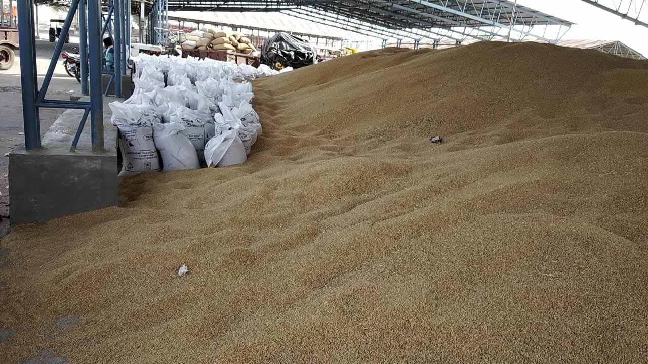 प्रशासन की आखों में धूल झोंकने का काम कर रहा है बेलढ़ाना समिति प्रबंधक, किसानों द्वारा एसडीएम से की गई लिखित शिकायत | New India Times