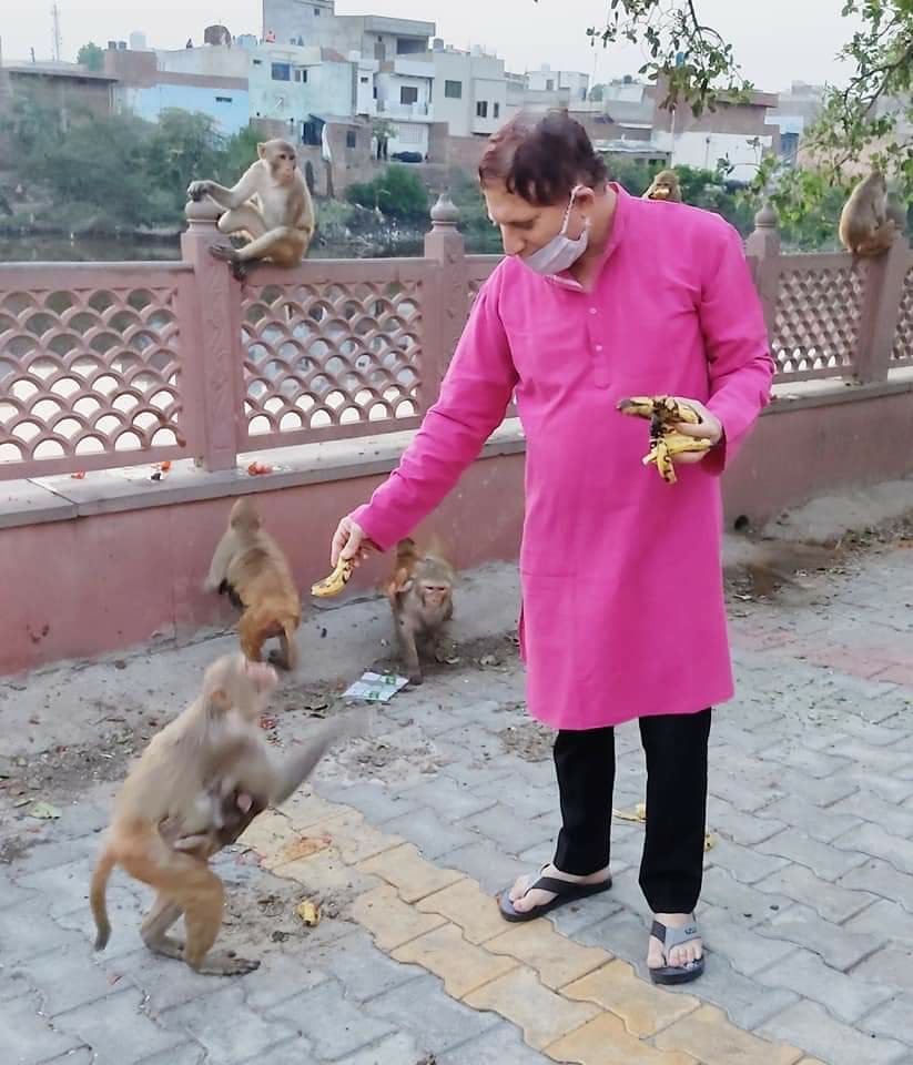 जिंदगी अनमोल है, इंसान हो या जानवर इसे बचाना हम सबकी जिम्मेदारी: विनोद दीक्षित। लॉक डाउन के दौरान मथुरा में लगातार की जा रही है जानवरों के भोजन की व्यवस्था | New India Times
