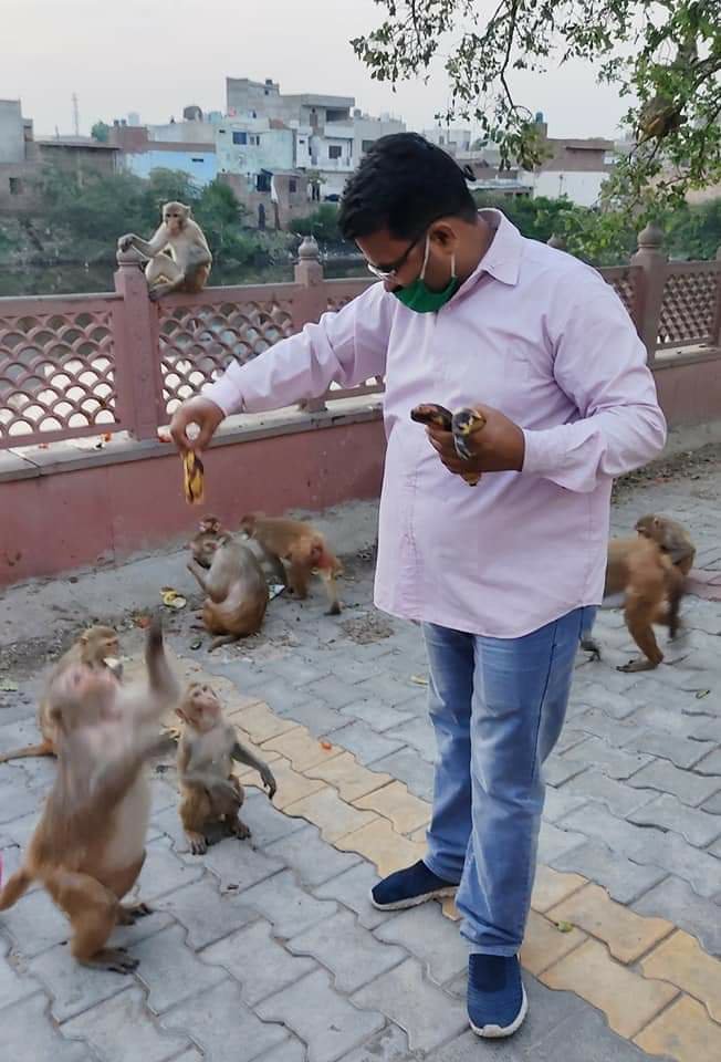 जिंदगी अनमोल है, इंसान हो या जानवर इसे बचाना हम सबकी जिम्मेदारी: विनोद दीक्षित। लॉक डाउन के दौरान मथुरा में लगातार की जा रही है जानवरों के भोजन की व्यवस्था | New India Times