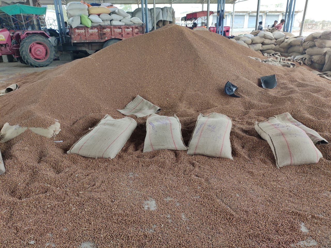 सत्तापक्ष के छुटभैये नेताओं की नेतागिरी से चना खरीदी केंद्र मढ़ पिपरिया में हो रही हैं अनियमितताएं, किसानों का जमकर हो रहा है शोषण | New India Times