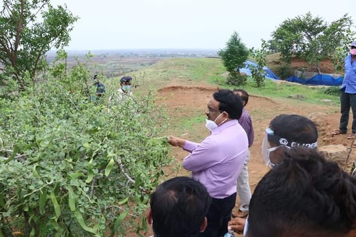 कभी वीरान थी पहाड़ी अब छाई हरियाली, कलेक्टर ने देखे कार्य तो बोले वेल्डन | New India Times