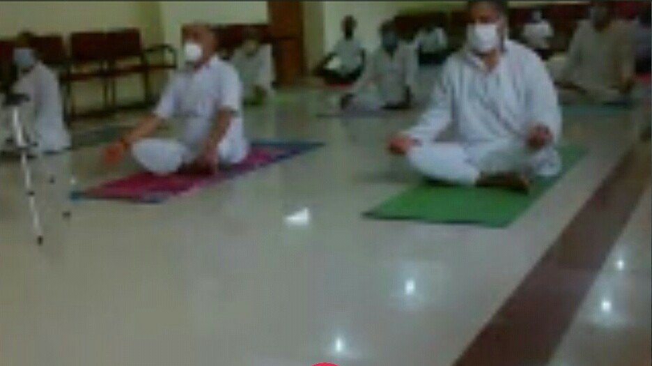 ग्रामोदय विश्वविद्यालय में मनाया गया विश्व योग दिवस, ऑनलाइन योगासन में ग्रामोदय परिवार भी हुआ शामिल | New India Times