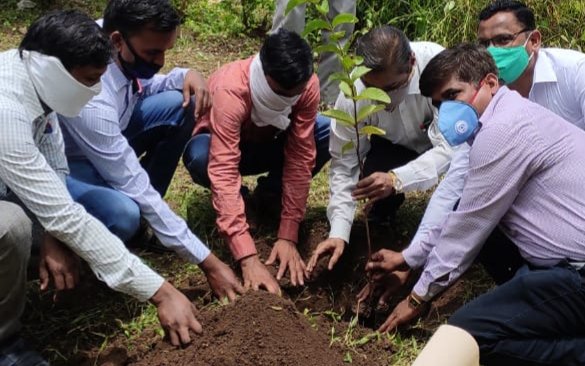 लोक अभियोजन म.प्र. के ग्रीन एण्ड क्लीन अभियान के तहत लोक अभियोजन कार्यालय बुरहानपुर के द्वारा किया गया वृक्षारोपण | New India Times