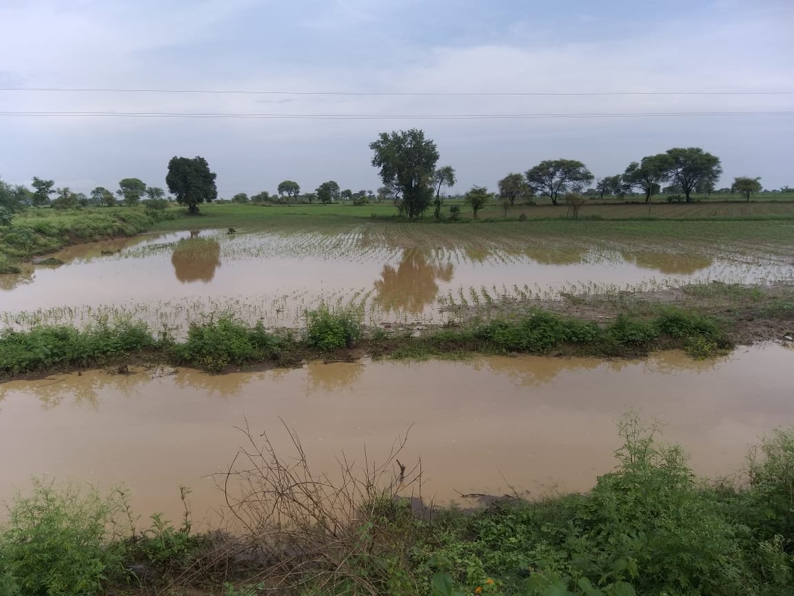 है कोई महामानव जो किसानों का उद्धार कर सके विकास की गंगा के साथ या फिर मूक दर्शक बने रहेंगे: डॉ राजकुमार सनोड़िया | New India Times
