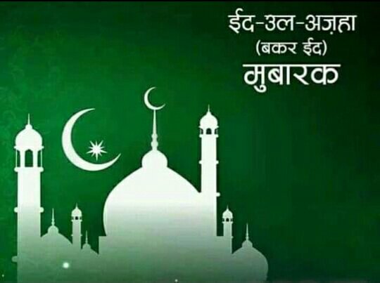 घर पर ही परिवार साथ अदा की गई ईद उल अज़हा की नमाज़: नोमान | New India Times