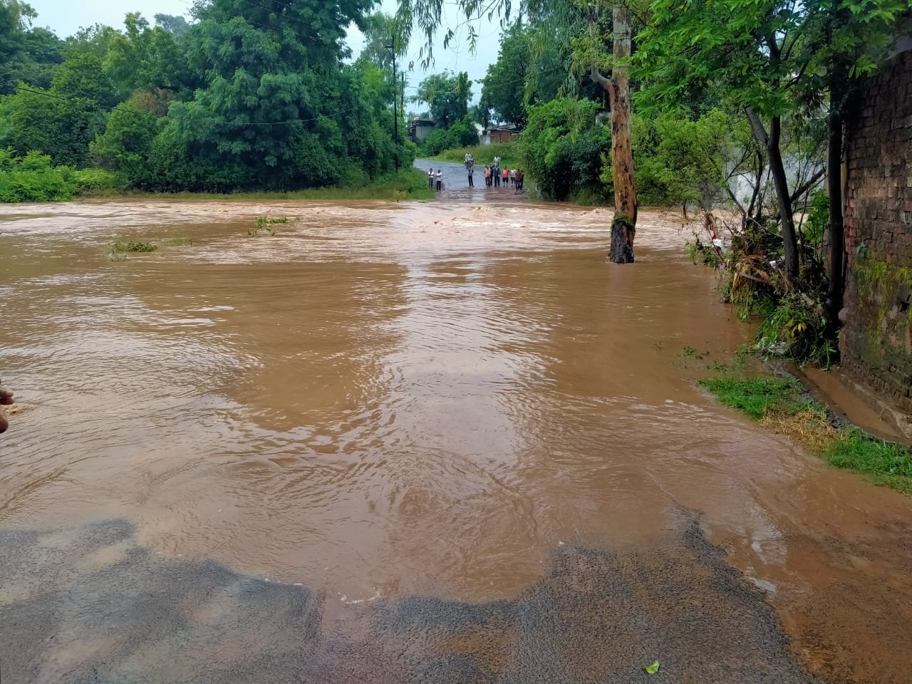 भारी वर्षा से बाढ़ का कहर, वर्षों से पुल निर्माण की उठ रही है मांग, जिम्मेदार नहीं दे रहे हैं ध्यान | New India Times