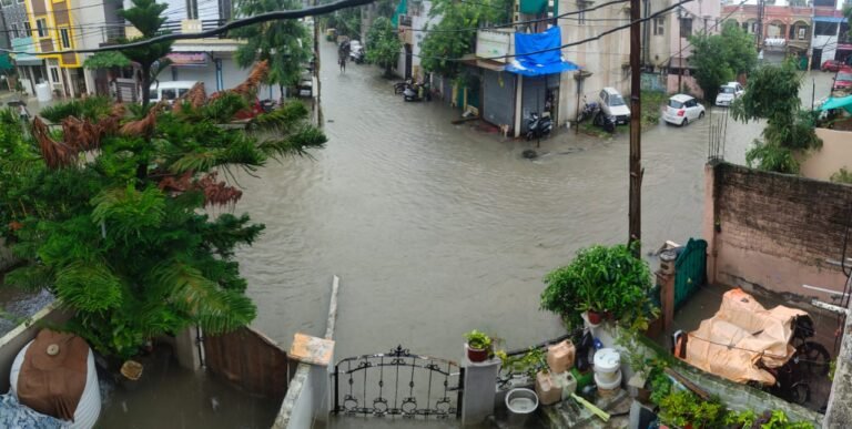 बारिश ने नगर पालिका की खोली पोल, आदर्श सड़क बनी तालाब, घरों में घुसा पानी, 18 घंटे की बारिश से तालाब हुए लबालब, जिला अस्पताल के वार्डों में पानी टपकने से मरीज हुए बेहाल | New India Times