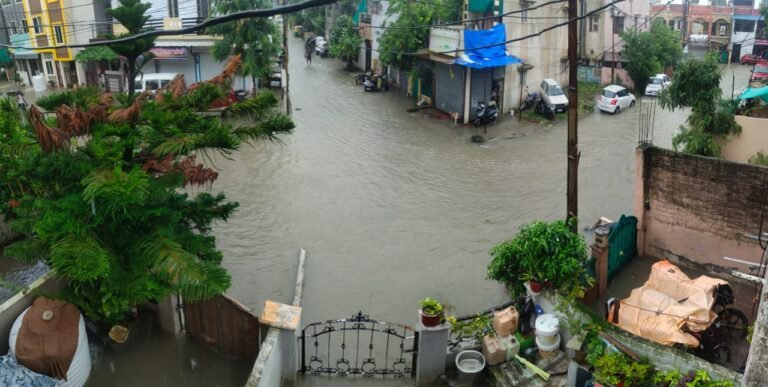 बारिश ने नगर पालिका की खोली पोल, आदर्श सड़क बनी तालाब, घरों में घुसा पानी, 18 घंटे की बारिश से तालाब हुए लबालब, जिला अस्पताल के वार्डों में पानी टपकने से मरीज हुए बेहाल | New India Times