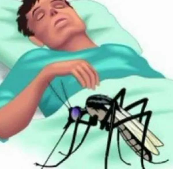 बरसात के चलते शहर में बढ़ने लगा है मच्छरों का प्रकोप 2 बरसात के चलते शहर में बढ़ने लगा है मच्छरों का प्रकोप | New India Times