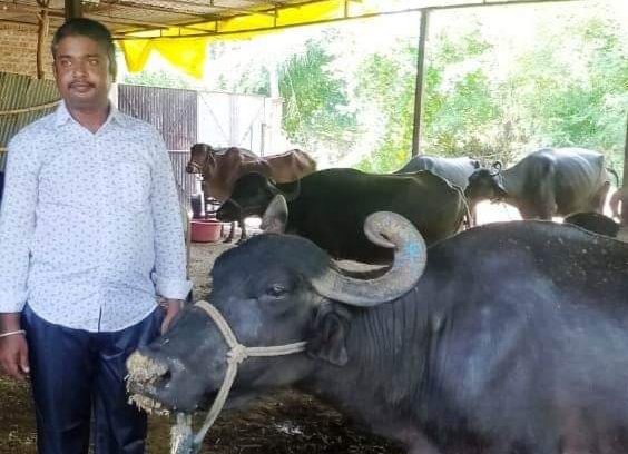 सफलता की कहानी: शासकीय योजना का लाभ लेकर बने आत्मनिर्भर एवं सफल उद्यमी | New India Times