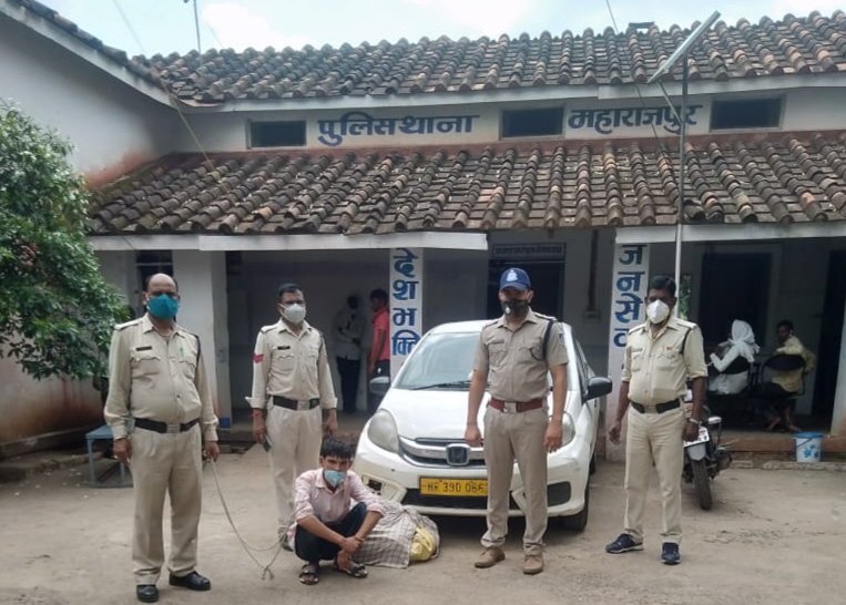 महाराजपुर पुलिस ने 2.5 लाख रुपए के गांजा के साथ एक आरोपी को किया गिरफ्तार | New India Times