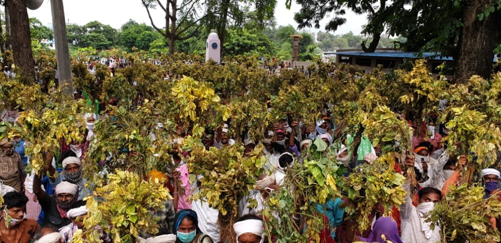 किसानों के समर्थन में आई भारतीय जनता पार्टी, समस्याओं को लेकर निकाली रैली, कलेक्टर कार्यालय पहुंचकर सौंपा ज्ञापन | New India Times