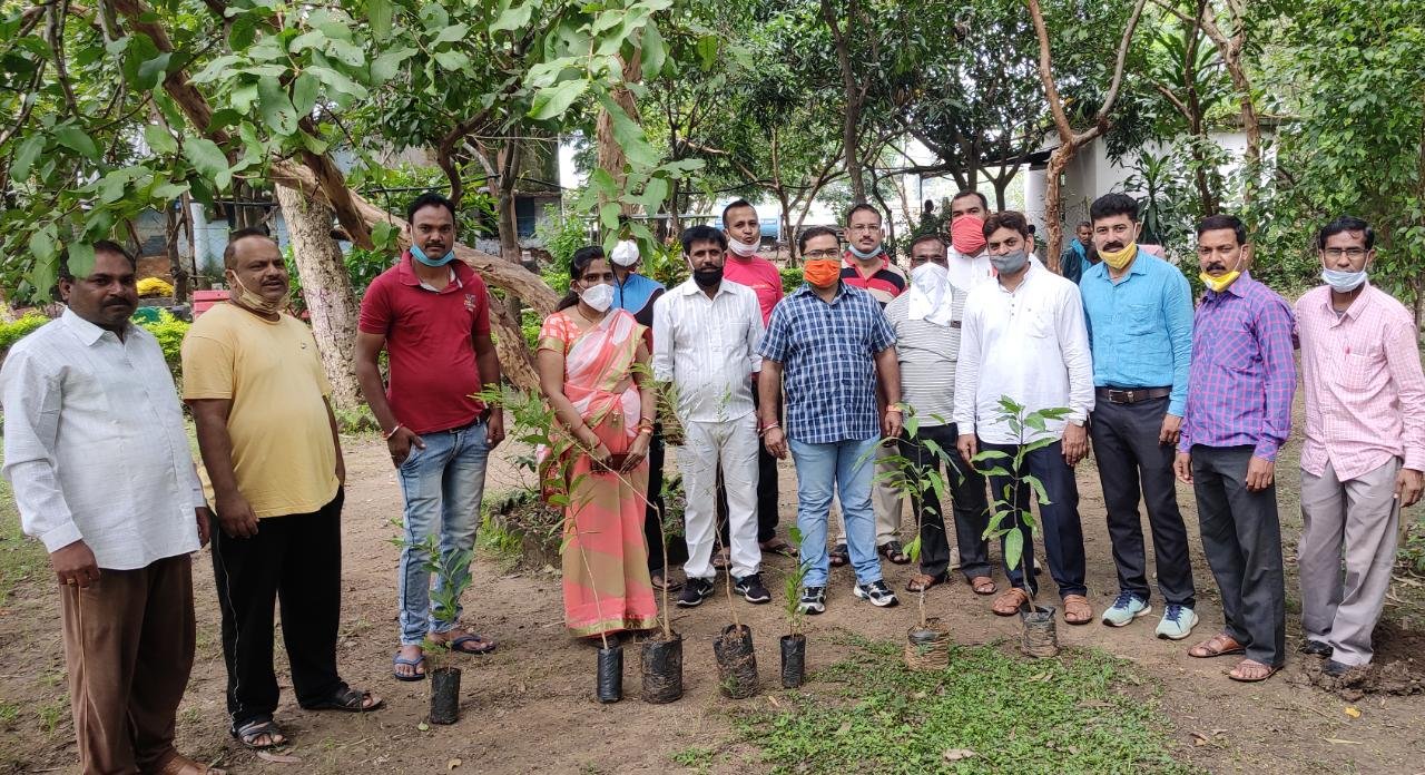 सेवा सप्ताह का हुआ समापन, भाजपा नगर मंडल जुन्नारदेव के कार्यकर्ताओं ने किया वृक्षारोपण | New India Times