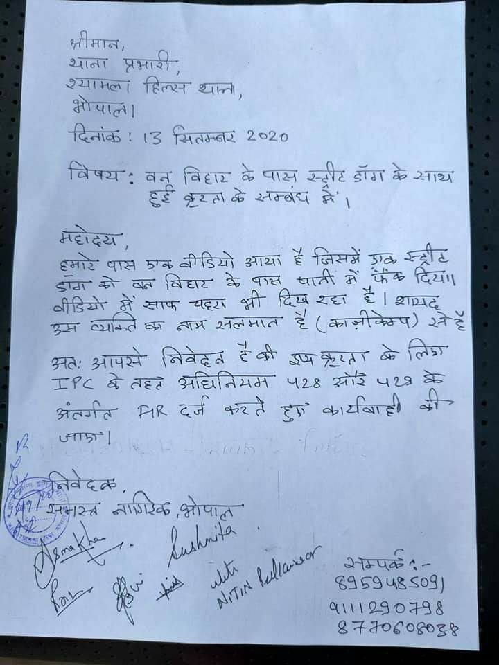 कुत्ते को तालाब में फेंकने वाले युवक के खिलाफ एफआईआर दर्ज, श्यामला हिल्स पुलिस कर रही है आरोपी की तलाश 2 कुत्ते को तालाब में फेंकने वाले युवक के खिलाफ एफआईआर दर्ज, श्यामला हिल्स पुलिस कर रही है आरोपी की तलाश | New India Times