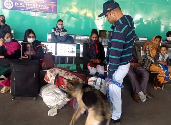 नववर्ष आगमन पर शहर में शांति एवं सुरक्षा व्यवस्था के मद्देनजर सघनता से की जा रही है चेकिंग | New India Times