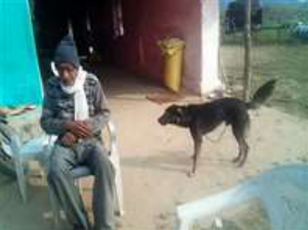 क‍िसान ने आधी जायदाद की कुत्ते के नाम | New India Times