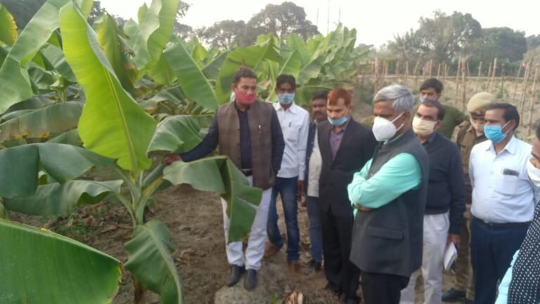 एक दिवसीय टिशू कल्चर केला गोष्ठी एवं उन्नतशील किसान सम्मान समारोह का जिलाधिकारी ने किया शुभारंभ | New India Times