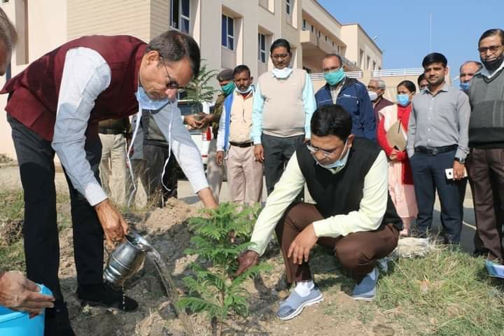 कलेक्टर ने नवीन संयुक्त कलेक्ट्रेट भवन में फल एवं छायादार विभिन्न पौधों का रोपण किया | New India Times