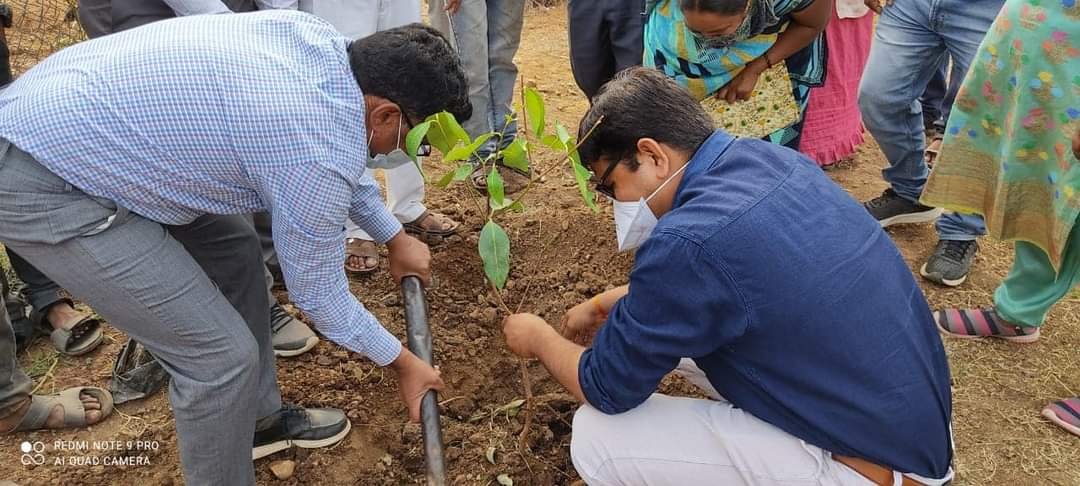 बम्बाड़ा गौशाला का जिला कलेक्टर ने निरीक्षण कर स्वच्छ एवं सुंदर व हरा भरा रखने के दिये निर्देश | New India Times