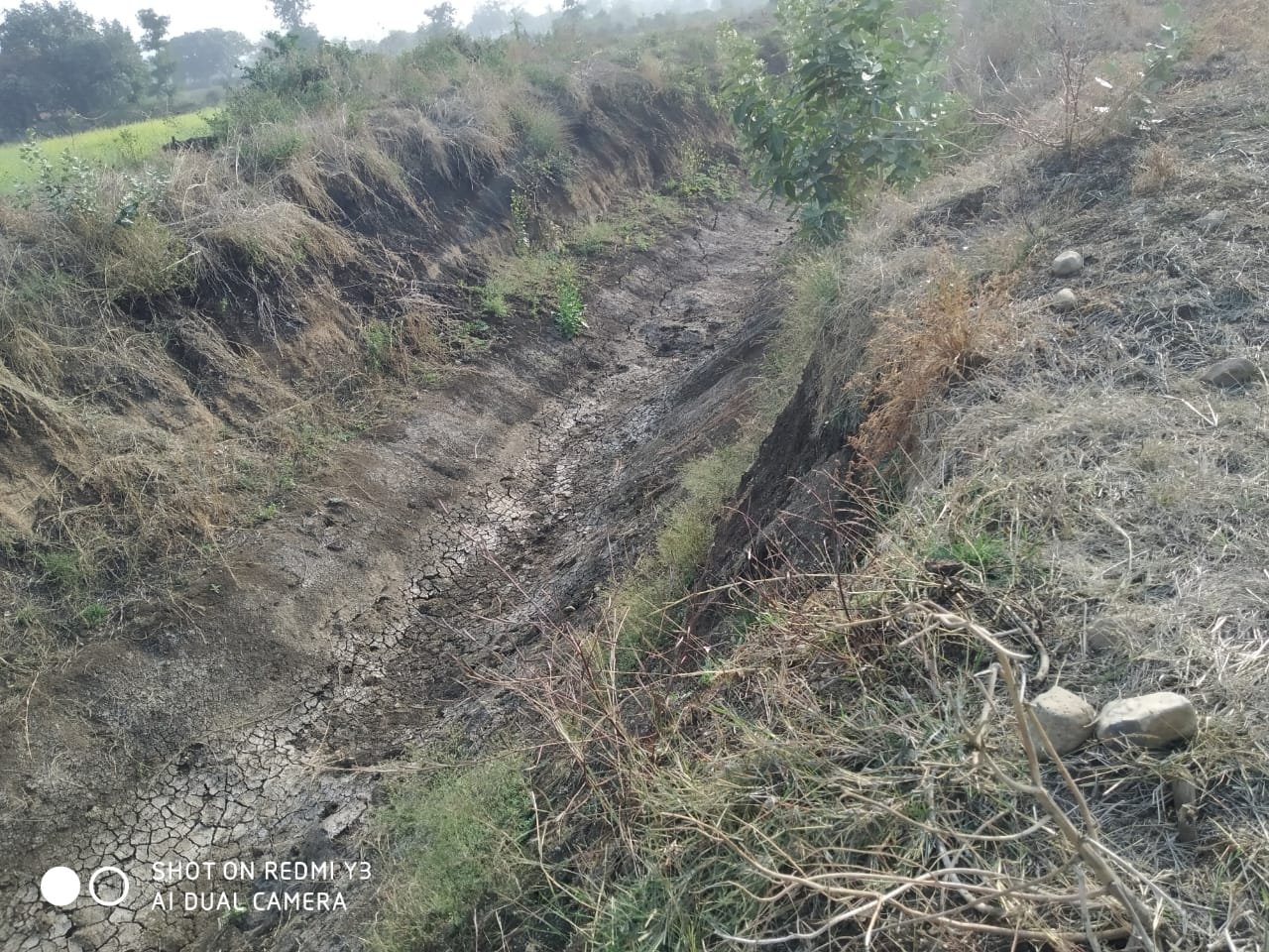 सूरजपुरा मध्यम परियोजना के नहर निर्माण कार्य के संबंध में एसडीएम देवरी ने कलेक्टर को भेजा पत्र | New India Times